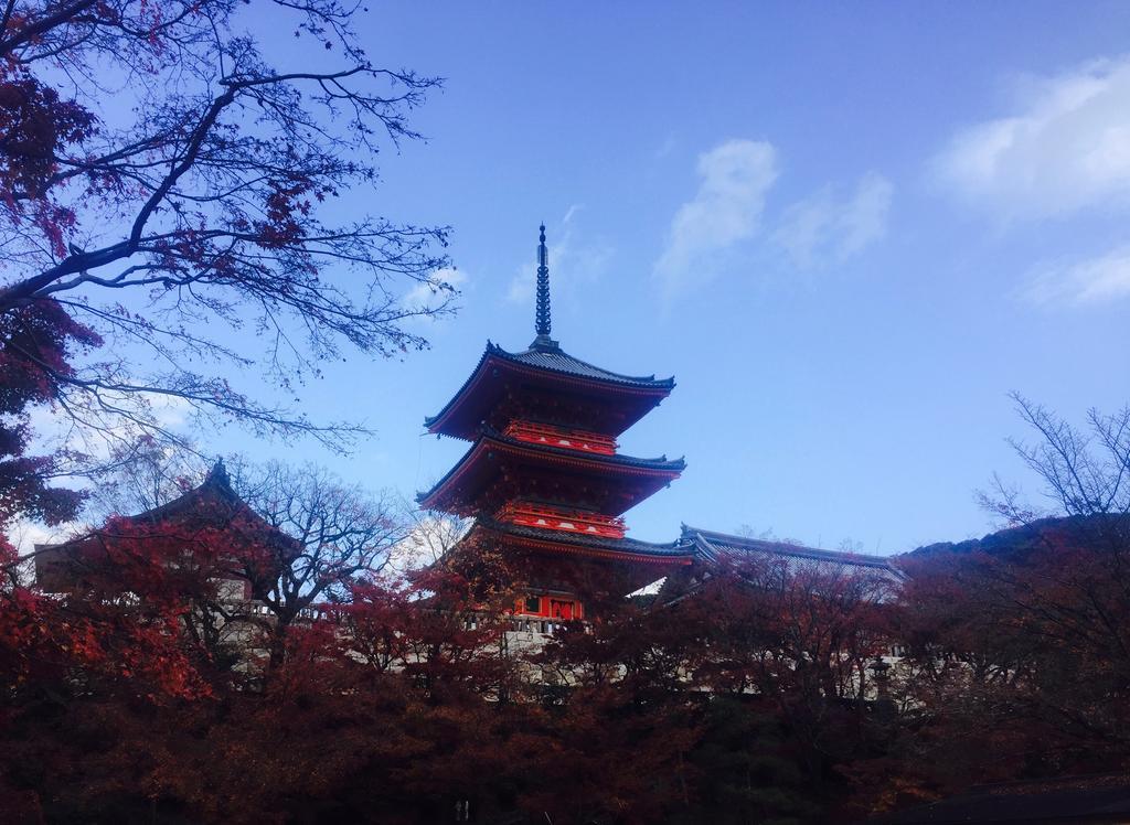 Shijo Omiya *